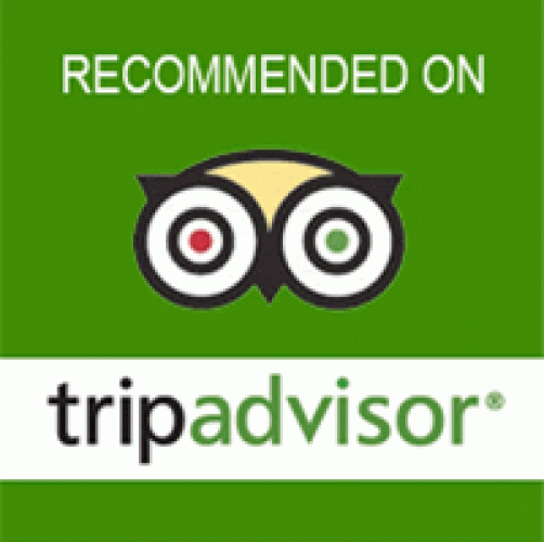 tripadvisor